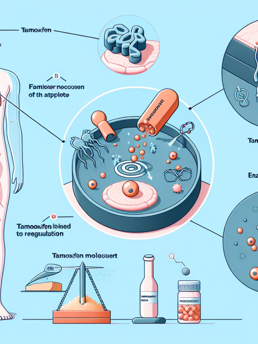 Comment le tamoxifène contribue à la régulation de l'appétit