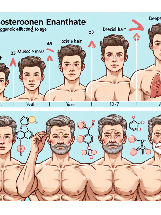 Effet de l'énanthate de testostérone sur l'effet androgénique selon l'âge