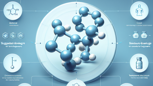 La testostérone et son dosage pour les débutants