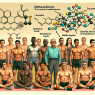Méthandienone et son effet sur les niveaux de testostérone chez les athlètes de tous âges