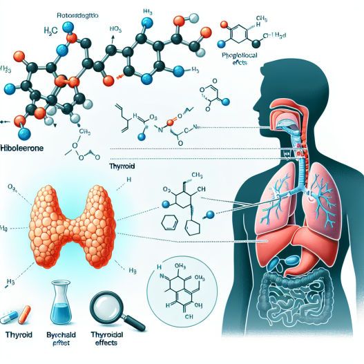 L'effet de la Mibolérone sur la fonction thyroïdienne